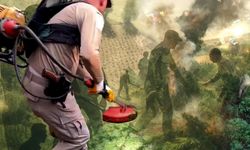 Diyarbakır’da 3,4 milyon kök kenevir ve skunk ele geçirildi