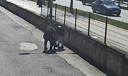 Jandarma personelinin ‘heimlich’ manevrası küçük çocuğu kurtardı
