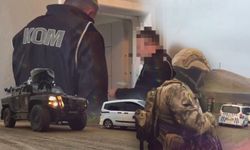 49 ilde mali suç örgütlerine operasyon: 146 şüpheli yakalandı