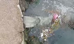 Marmara Denizi’nde kirliliğe neden olan Çınarcık Belediyesine 1,3 milyon lira ceza