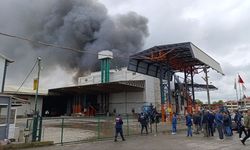 Sakarya'da fındık kırım fabrikasında yangın çıktı