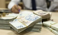 Engelli ve eski hükümlü hibe desteği başvuruları başladı