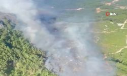 Antalya’daki 2 orman yangınından 1'i kontrol altına alındı