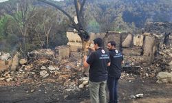 Bakan Kurum, Bilecik'teki orman yangınlarının bilançosunu açıkladı