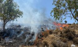 Bodrum'da makilik ve otluk alanda yangın çıktı