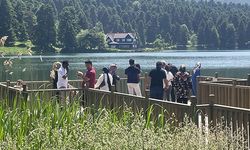 Bolu'daki tabiat ve milli parklar bayramda ilgi gördü