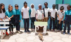 Emine Erdoğan'ın Sıfır Atık Girişimi, Senegal'de kedi evlerine ilham oldu