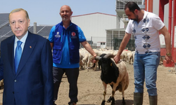 Cumhurbaşkanı Erdoğan'ın kurbanları Konya'da kesildi