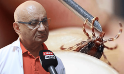 Sessiz tehlike: Keneye dikkat