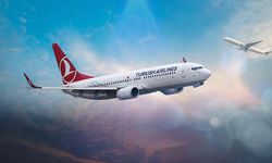 THY dört farklı kategoride kabin memuru alacak