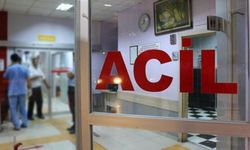 Düzce’de arının soktuğu kadın hayatını kaybetti