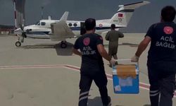 Beyin ölümü gerçekleşen gencin organları 2 kişiye umut oldu