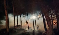 5 şehirdeki orman yangını kontrol altında
