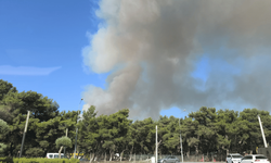 İzmir'de bir orman yangını da Buca'da