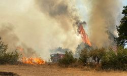 Çanakkale Ezine’deki orman yangını kontrol altına alındı