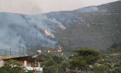 Hatay'da dün çıkan orman yangınına müdahale sürüyor