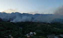 Hatay'daki orman yangınıyla ilgili bir şüpheli tutuklandı