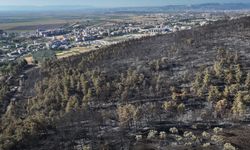 Hatay'da orman yangını kısmen kontrol altında: Soğutma çalışması devam ediyor