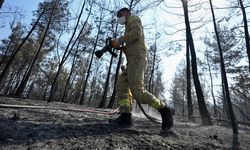 Orman yangınlarına karşı mücadele hamleleri güçleniyor