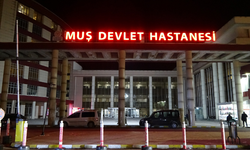 Kene vakası sonrası köyde alarma geçildi