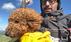 Köpek Toby gökyüzünde süzüldü