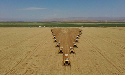 Tarım ÜFE Aralık 2025'te arttı