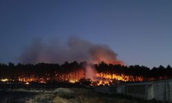 Balıkesir'deki orman yangınıyla ilgili 2 tutuklama