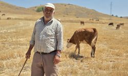 40 yıldır dağlarda, hâlâ dimdik ayakta