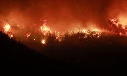 Hatay'da orman yangını! Evler tahliye edilmeye başladı