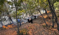 Adana’nın Feke ilçesinde orman yangını çıktı