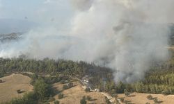 Adana'nın İmamoğlu ilçesindeki orman yangını kontrol altına alındı