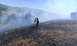 Adana'nın Kozan ilçesinde çıkan orman yangını kontrol altına alındı
