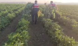 Başkentte uyuşturucu operasyonu: 2 şüpheli gözaltına alındı