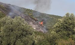 Bursa Orhangazi’deki orman yangını kontrol altına alındı