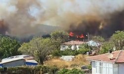 Çanakkale Gelibolu'da çıkan yangına müdahale ediliyor