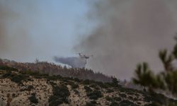 Çanakkale Gelibolu’da çıkan yangın kontrol altında