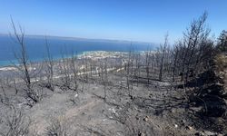 Çanakkale Merkez ve Dardanos ile İzmir Karaburun yangınları kontrol altında