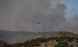Çanakkale ve Adana’daki orman yangınları büyük ölçüde kontrol altında
