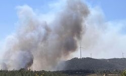 Çanakkale'de çıkan orman yangınına müdahale ediliyor