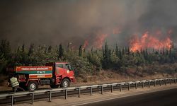 Çanakkale'deki orman yangınlarında mahsur kalan 348 kişiyi Sahil Güvenlik kurtardı