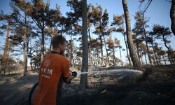 Çanakkale'deki yangınlarda soğutma çalışmaları devam ediyor