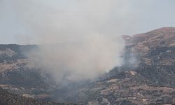 Çorum'da ormanlık alanda yangın çıktı