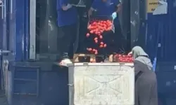 O görüntüler gündem olmuştu: Domateslerin çöpe dökülmesiyle ilgili açıklama
