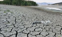Dünyanın su kaynakları giderek artan bir baskı altında