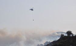 Mersin'in Silifke ilçesindeki orman yangınına müdahale sürüyor