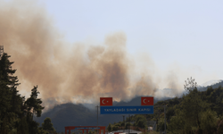 Suriye’deki orman yangını Türkiye’ye sıçradı