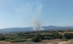 Osmaniye Sumbas’ta korkutan orman yangını