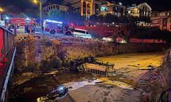 Park halindeyken hareket ederek dereye düştü, alev alarak küle döndü