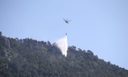 Sinop'taki orman yangını kontrol altında