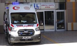Van’da bunaltıcı sıcaklar acil servisleri harekete geçirdi